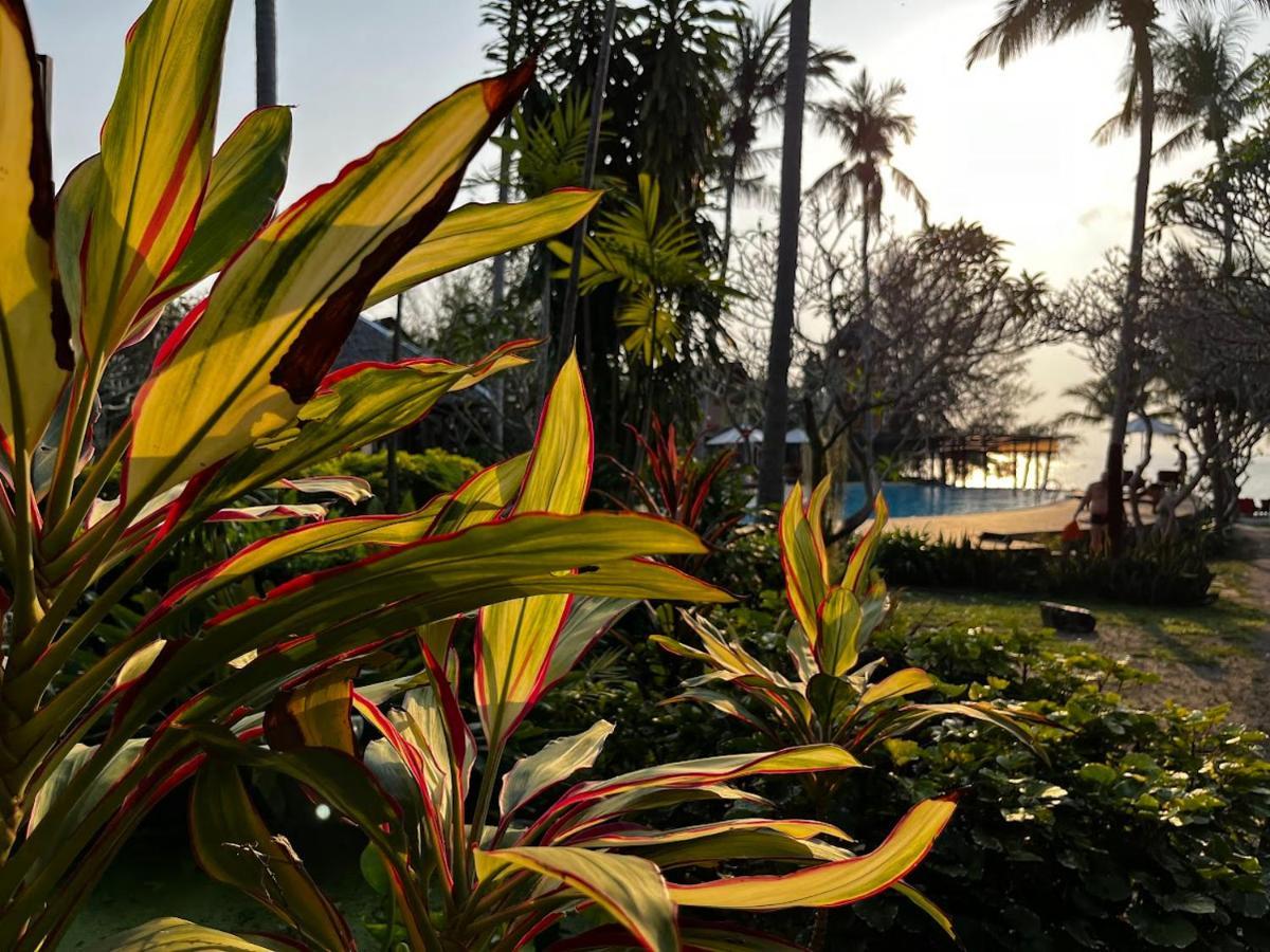 Green Papaya Beach Resort, Koh Phangan Salad Beach Εξωτερικό φωτογραφία